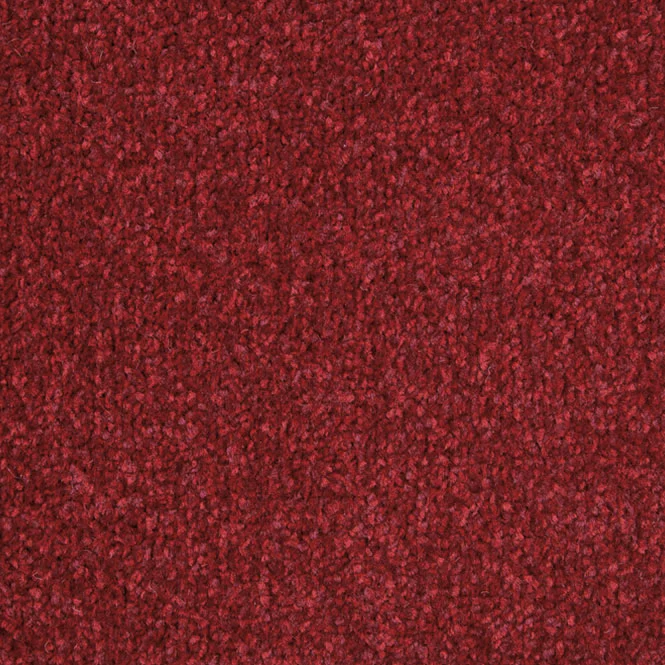 StainFree Arena Carpet - Image 12