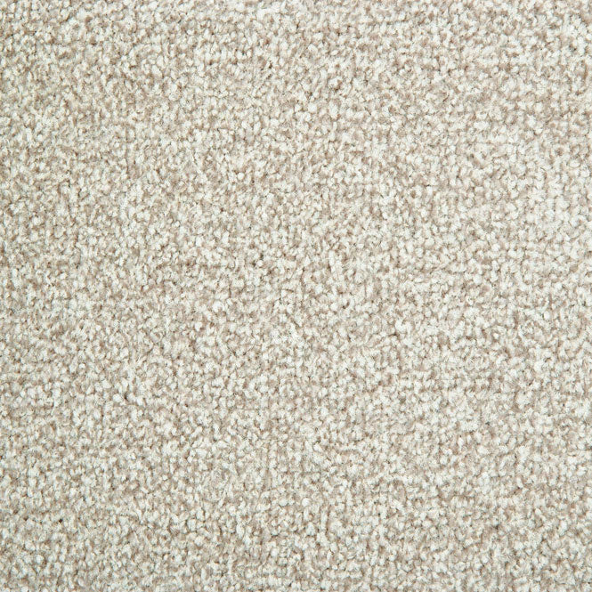 StainFree Arena Carpet - Image 2