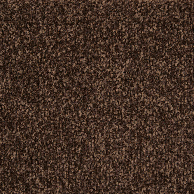 StainFree Arena Carpet - Image 3