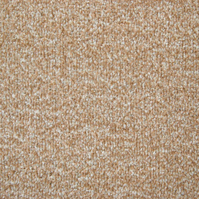 StainFree Arena Carpet - Image 4