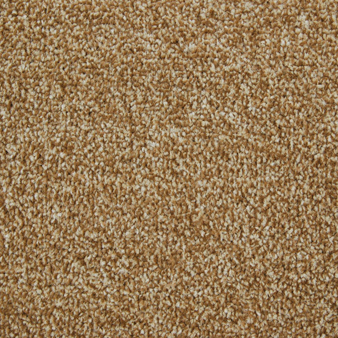 StainFree Arena Carpet - Image 5