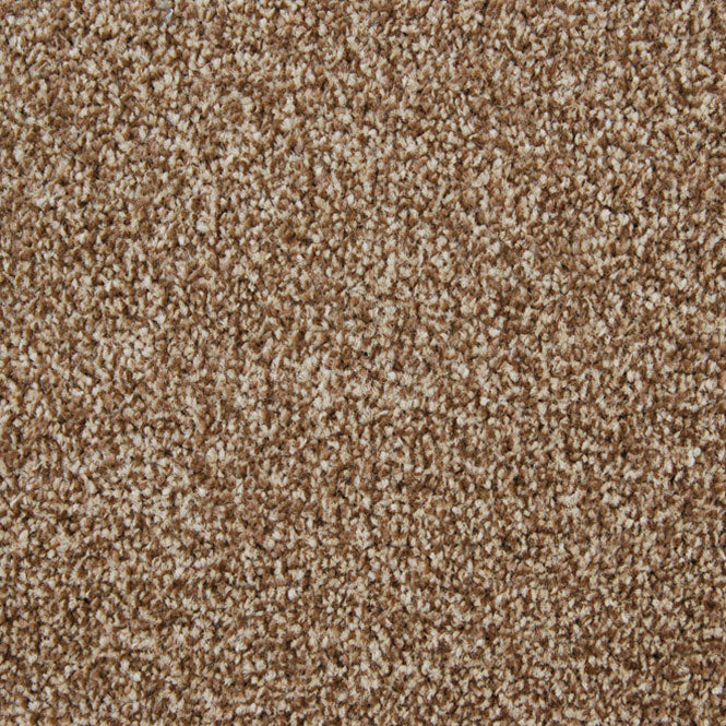 StainFree Arena Carpet - Image 6