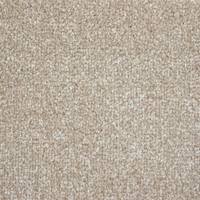 StainFree Arena Carpet - Image 7