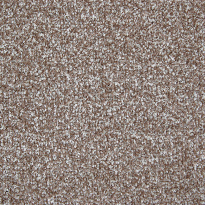 StainFree Arena Carpet - Image 8
