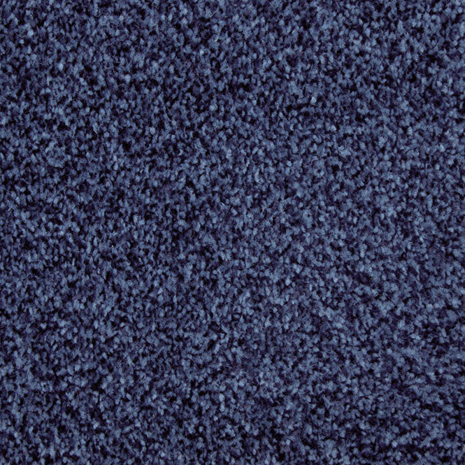 StainFree Arena Carpet - Image 9
