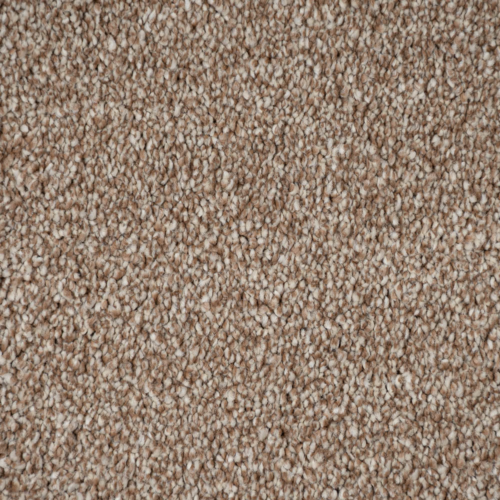 Acacia 34 Cassius 70oz Invictus Carpet - Image 4