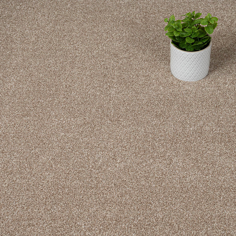 Acacia 34 Darius 50oz Invictus Carpet - Image 2