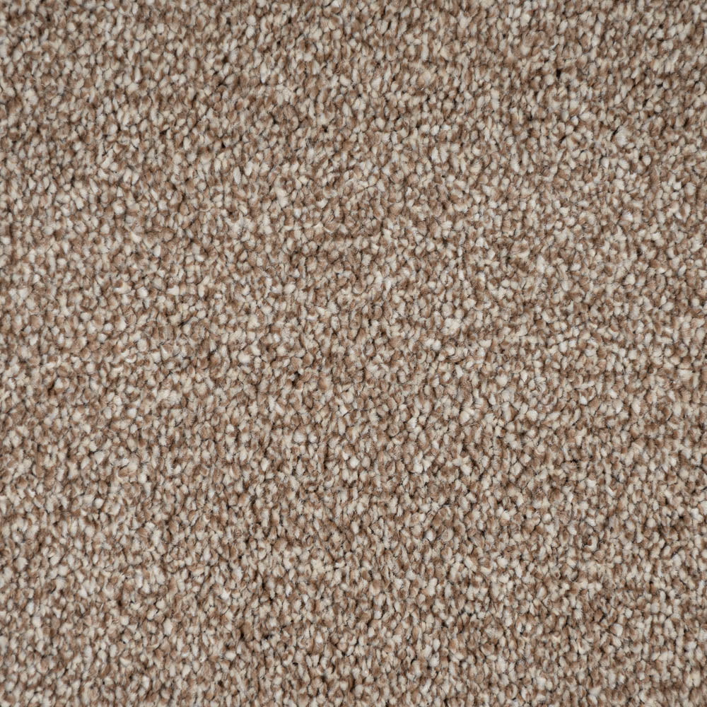 Acacia 34 Darius 50oz Invictus Carpet - Image 4