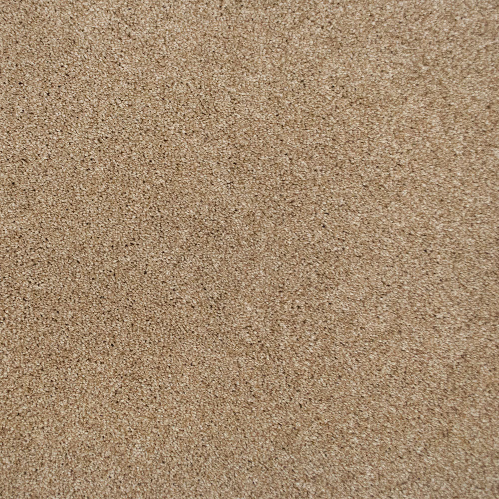 Acacia 34 Pegasus 70oz Heathers Invictus Carpet - Image 5