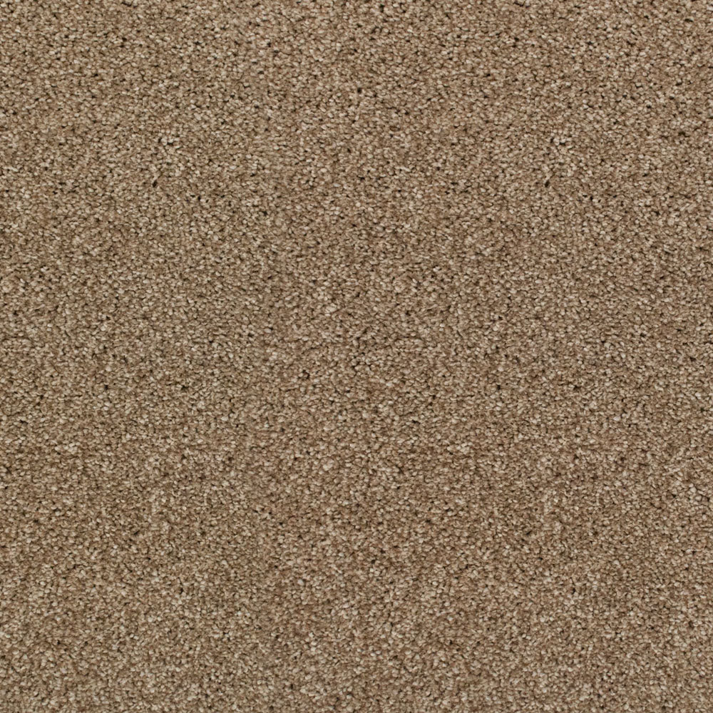 Acacia 34 Perseus 50oz Invictus Carpet - Image 2