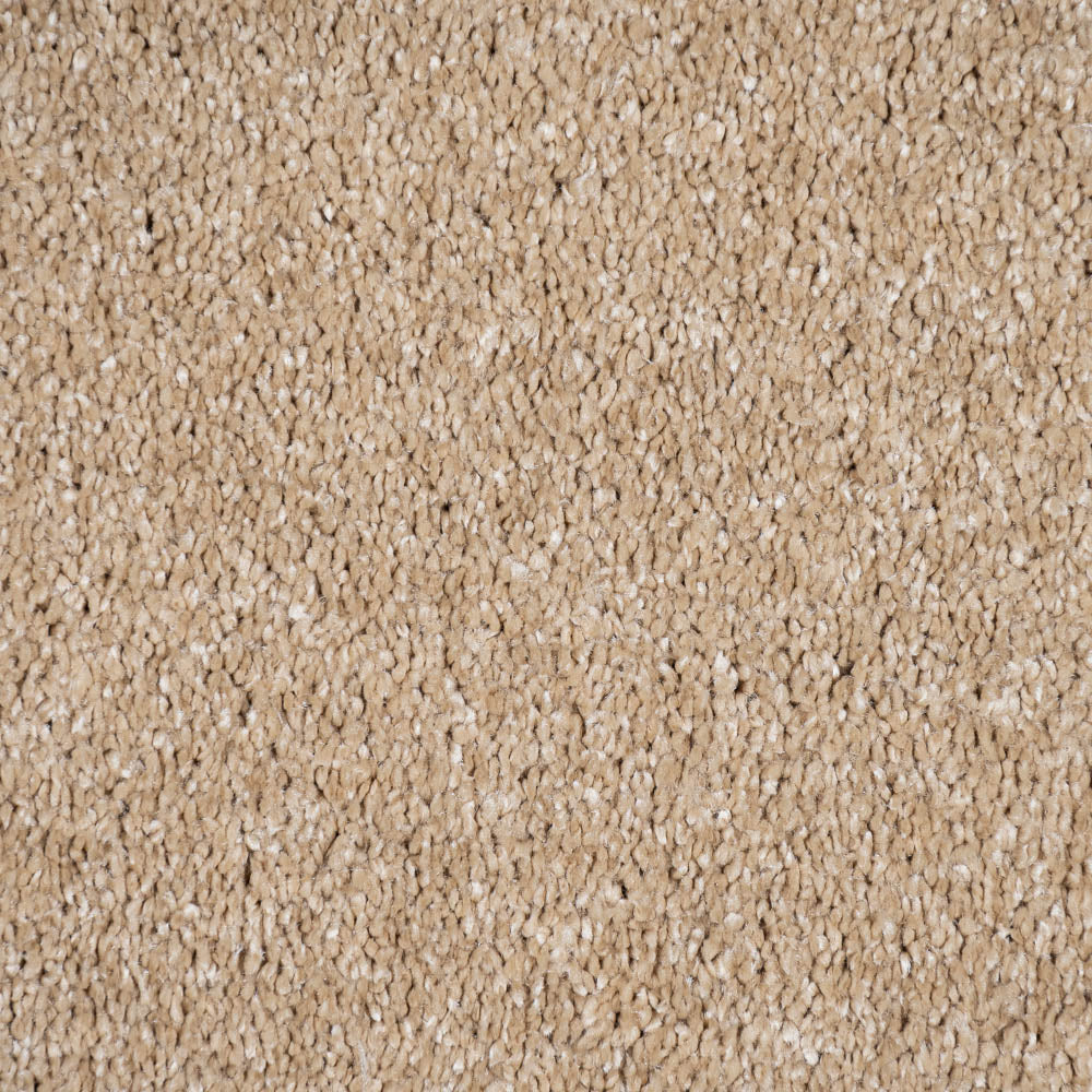 Acorn Beige Alhambra Saxony Carpet - Image 3