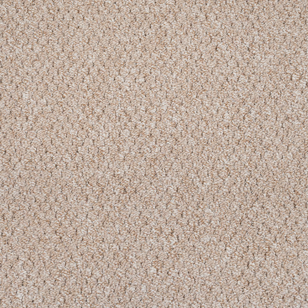 Alabama Loop Carpet - Image 3