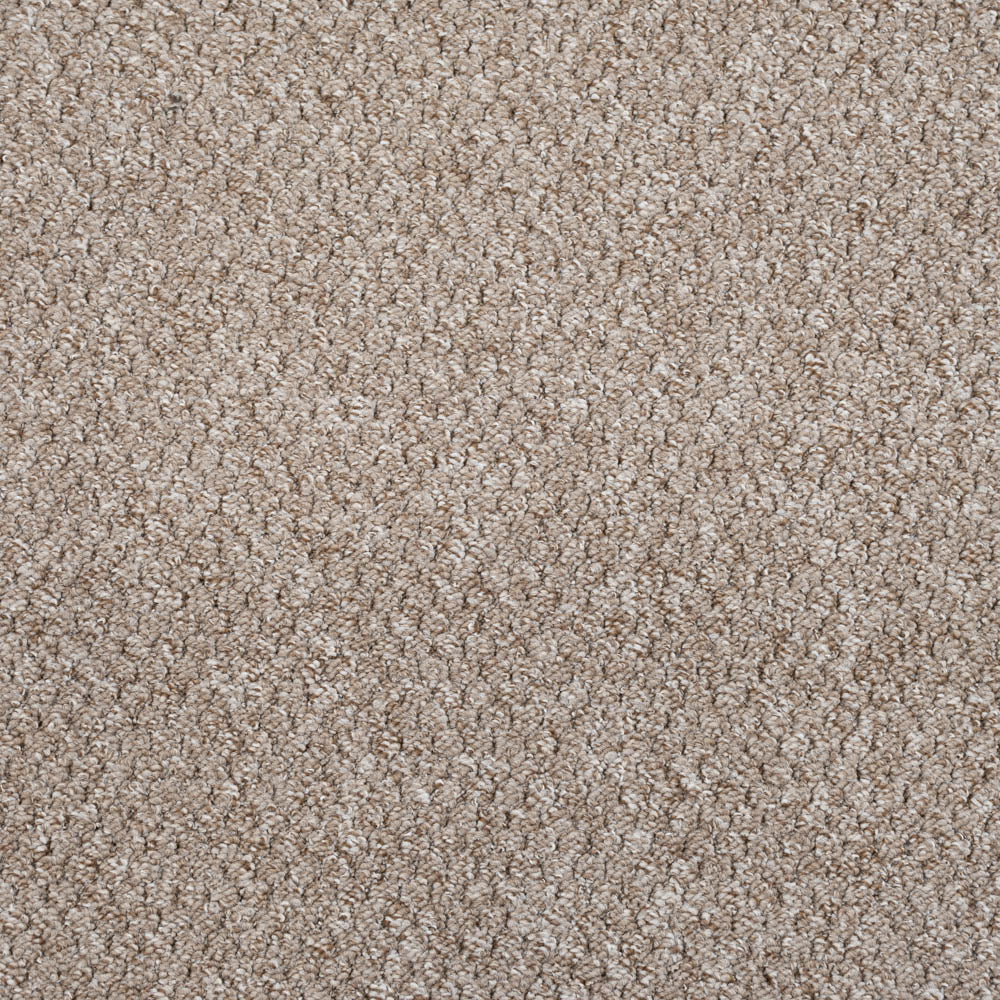 Alabama Loop Carpet - Image 4