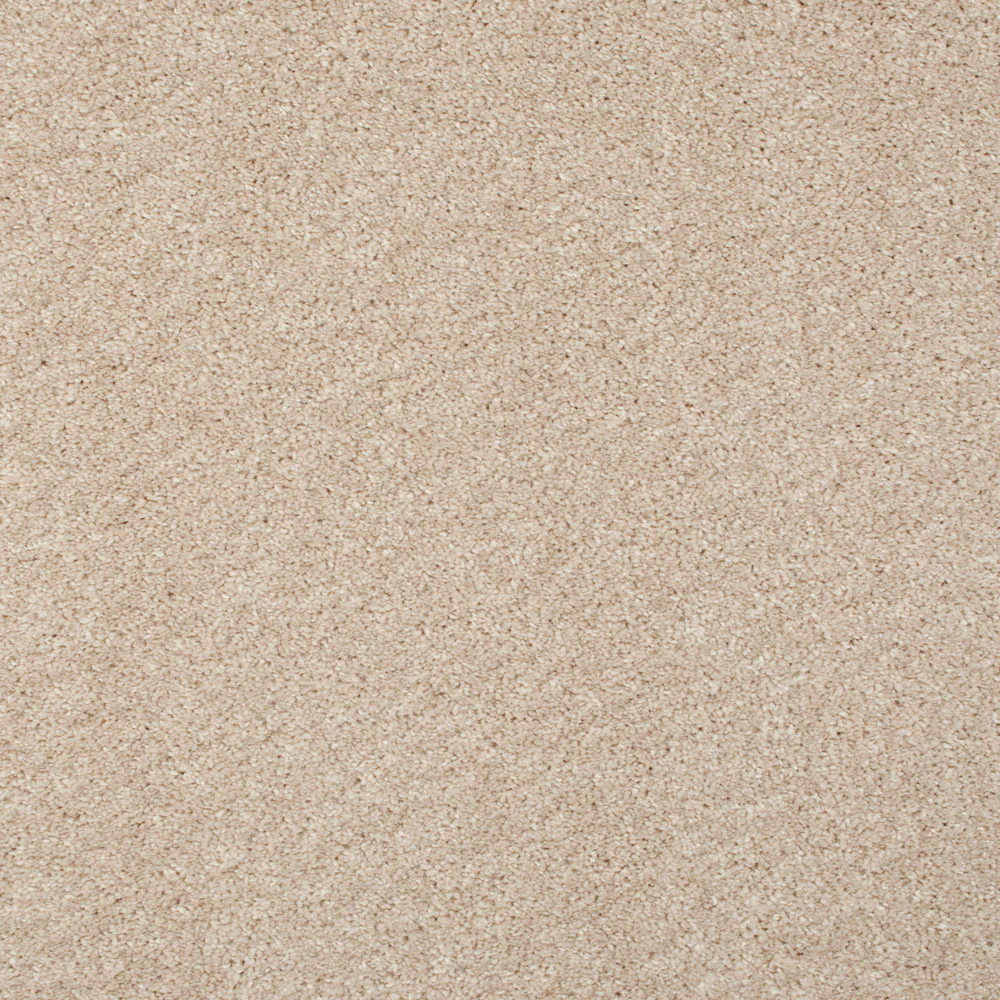 Alabaster 71 Barello Plains Intenza Carpet