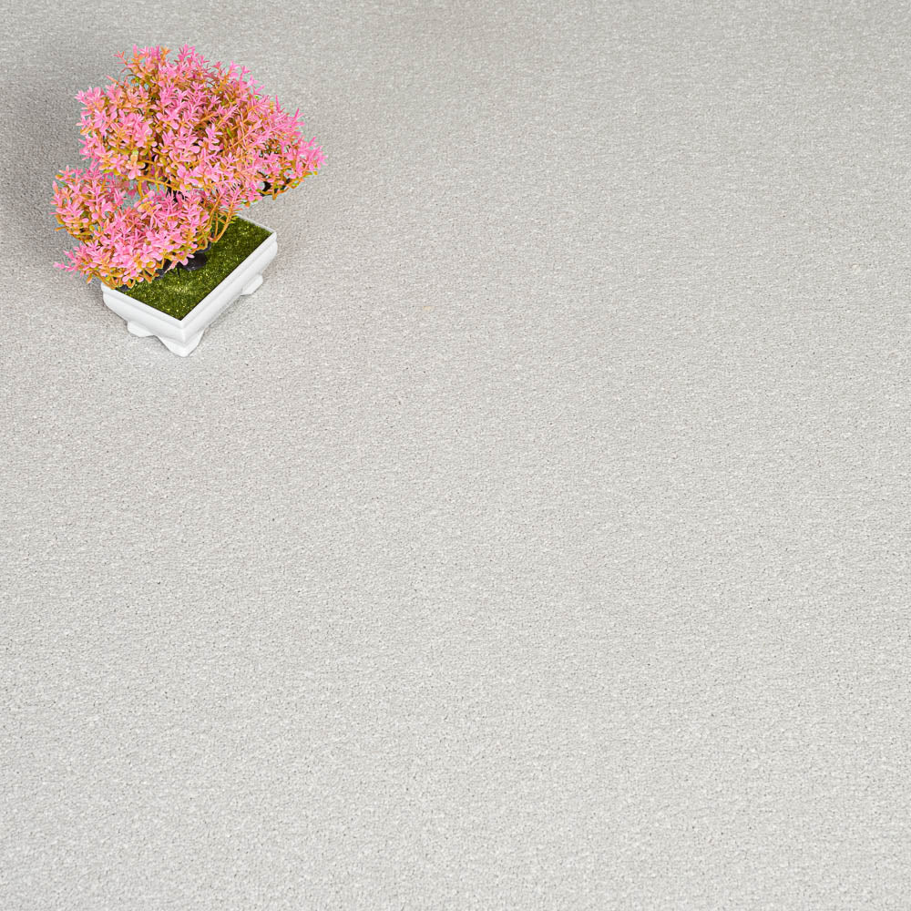 Alloy Grey Primo Plus Carpet by Cormar - Image 2