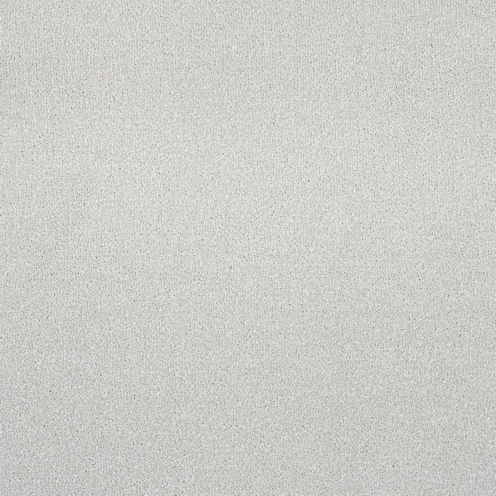 Alloy Grey Primo Plus Carpet by Cormar - Image 3