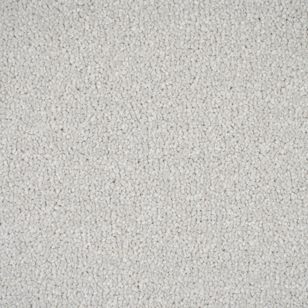 Alloy Grey Primo Plus Carpet by Cormar - Image 4