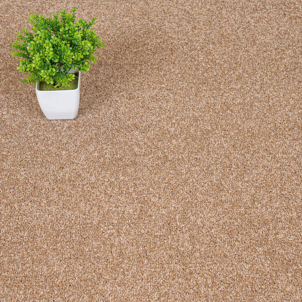 Almond 34 Stainaway Harvest Heathers Deluxe Carpet - Image 2