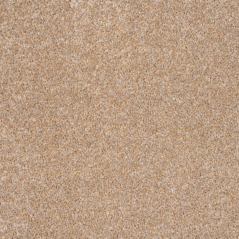 Almond 34 StainGuard Harvest Heathers Supreme Carpet - Image 2