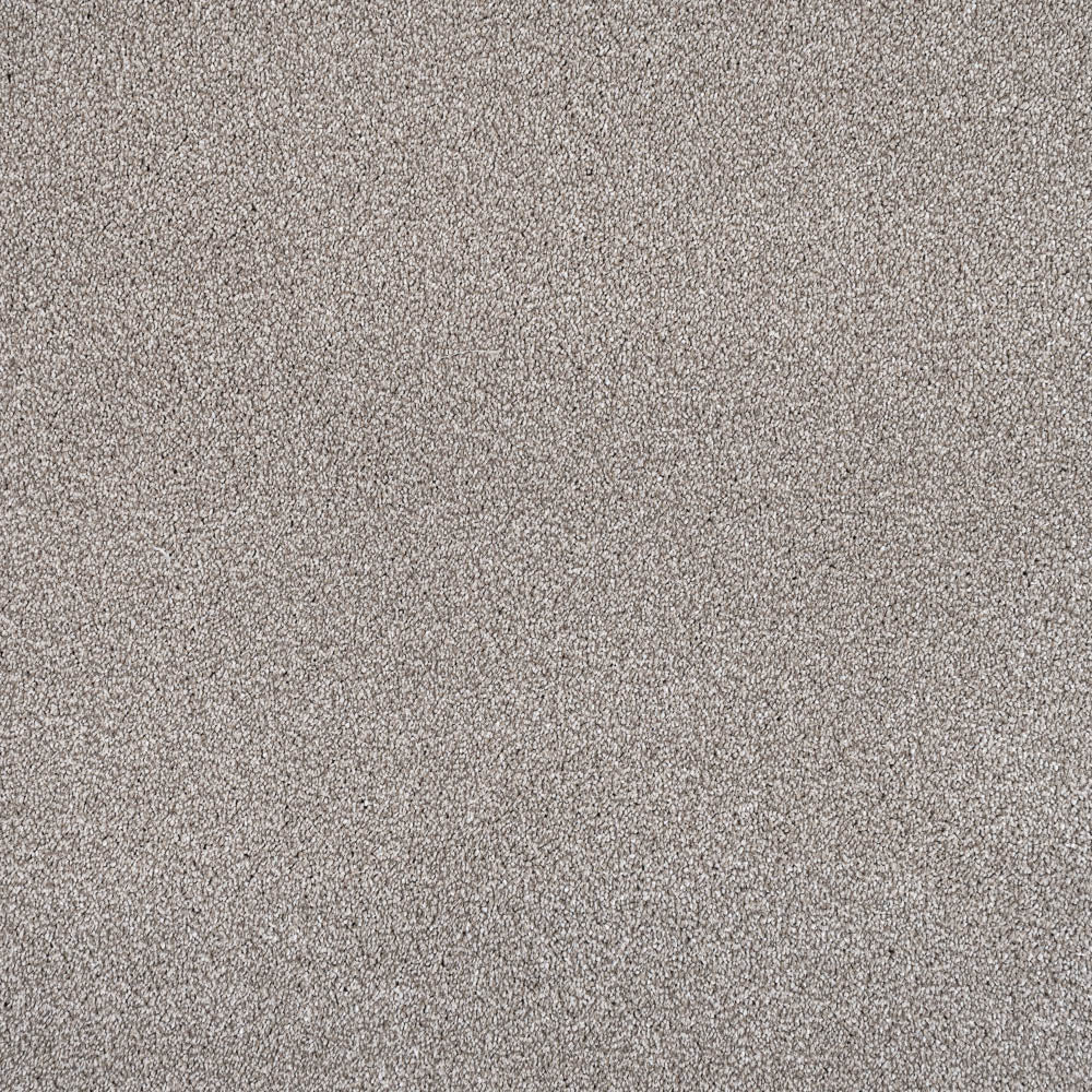 Alpine Stone Sensation Heathers 60oz Carpet by Cormar - Image 5