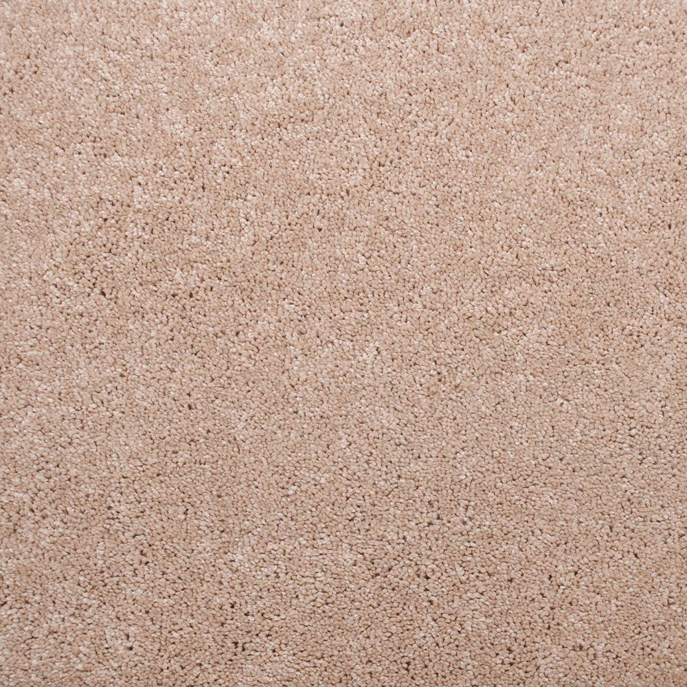 Stainfree Amore Carpet - Image 6