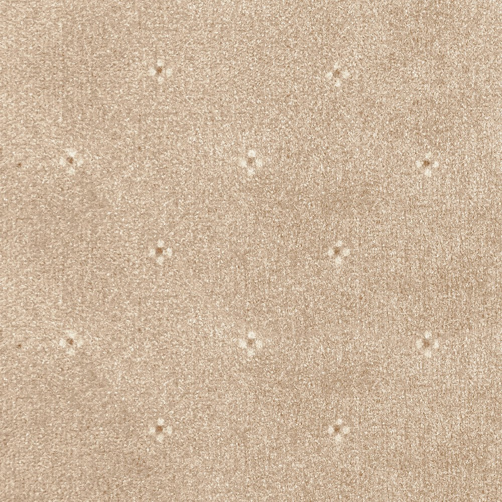 Animo Carpet Clearance - Image 2