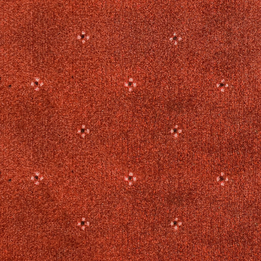 Animo Carpet Clearance - Image 3