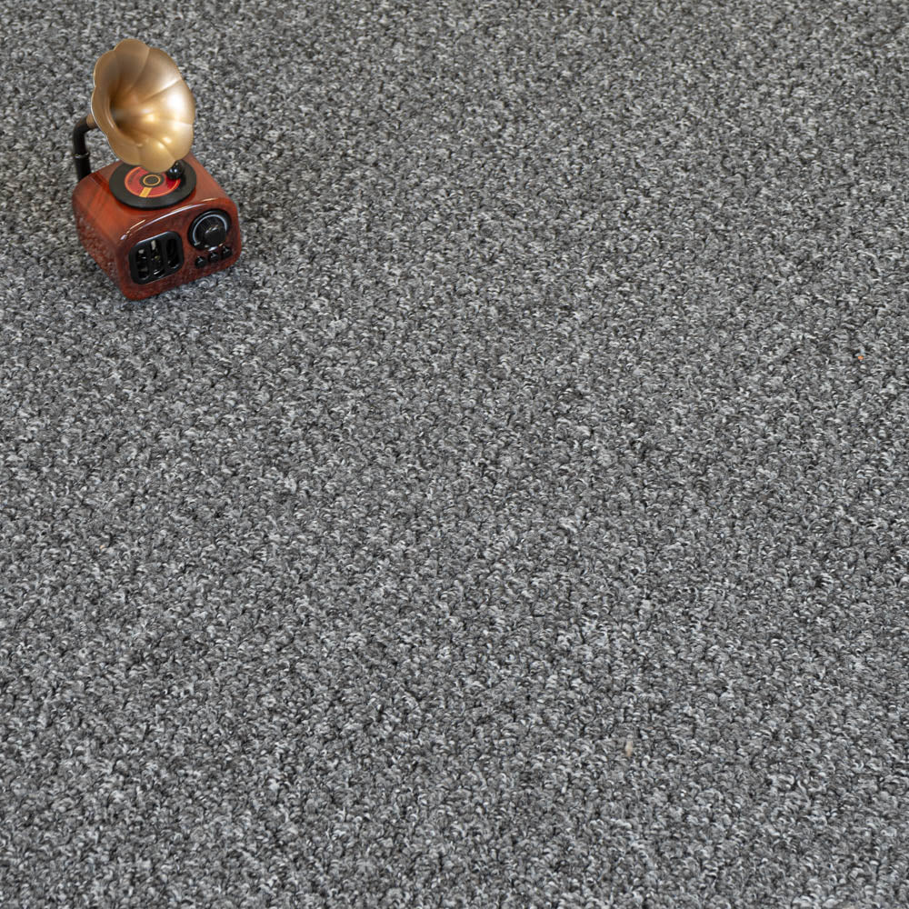 Anthracite 5927 Alabama Loop Carpet