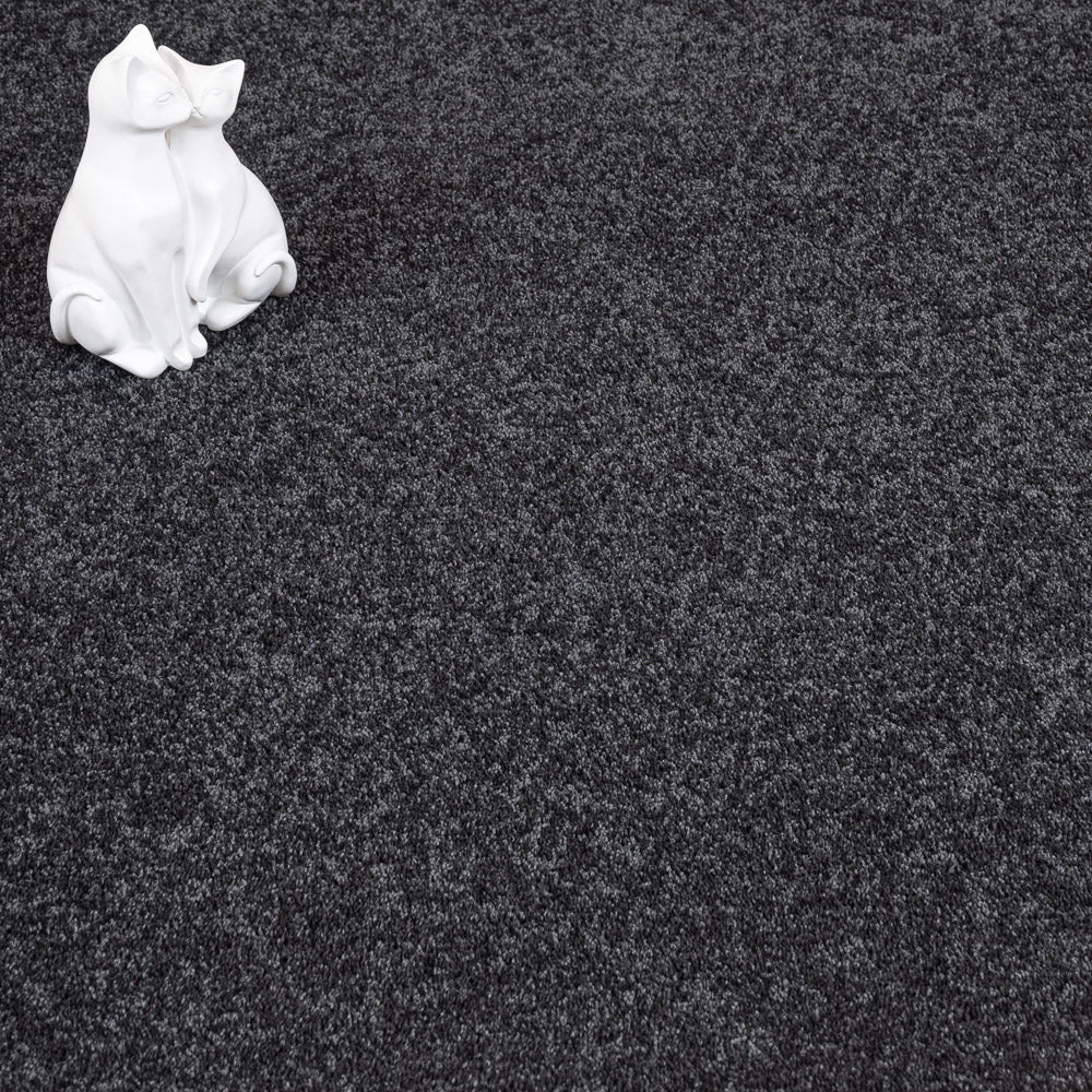 Anthracite Maverick Saxony Carpet