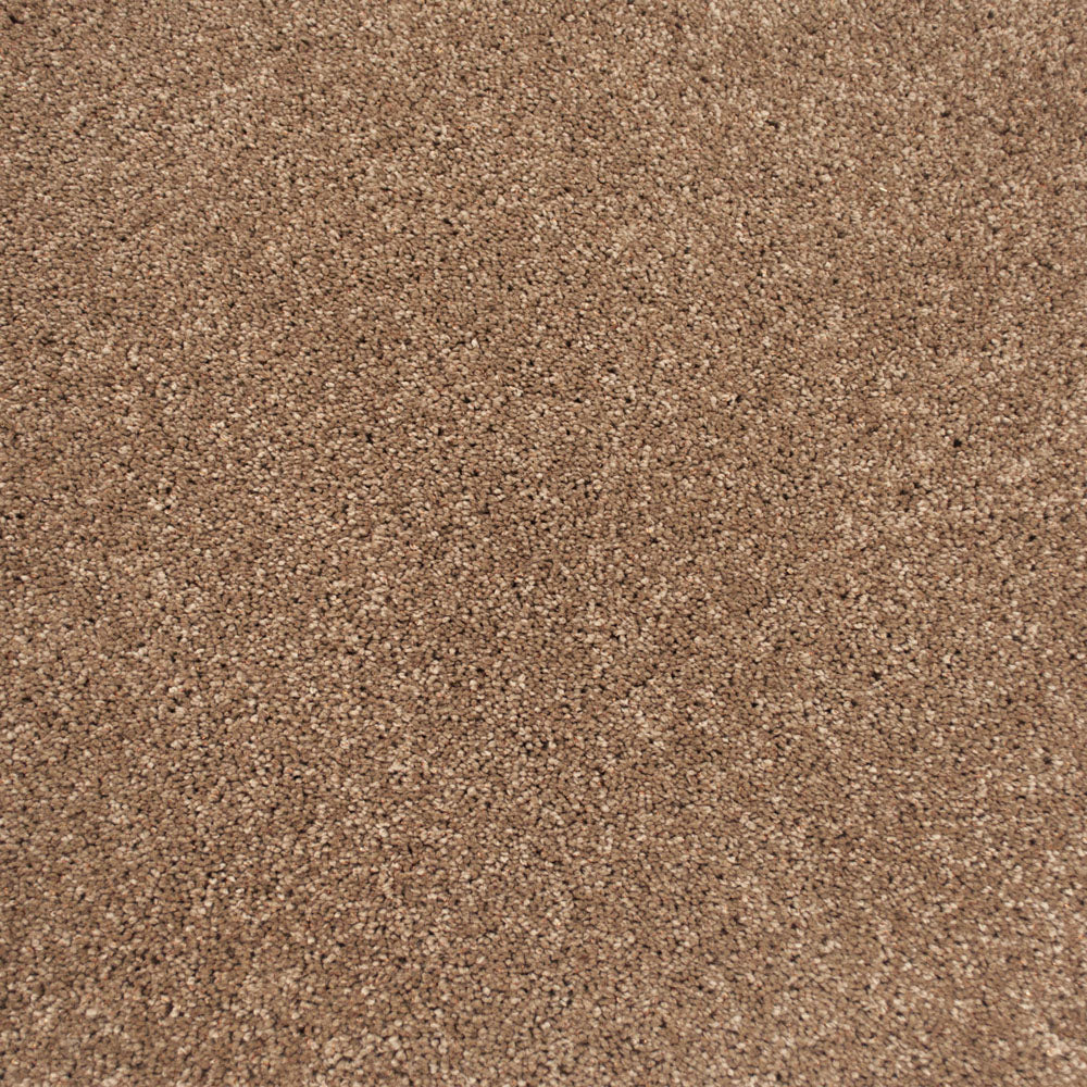 Antique Copper 38 Centaurus Invictus Carpet - Image 4
