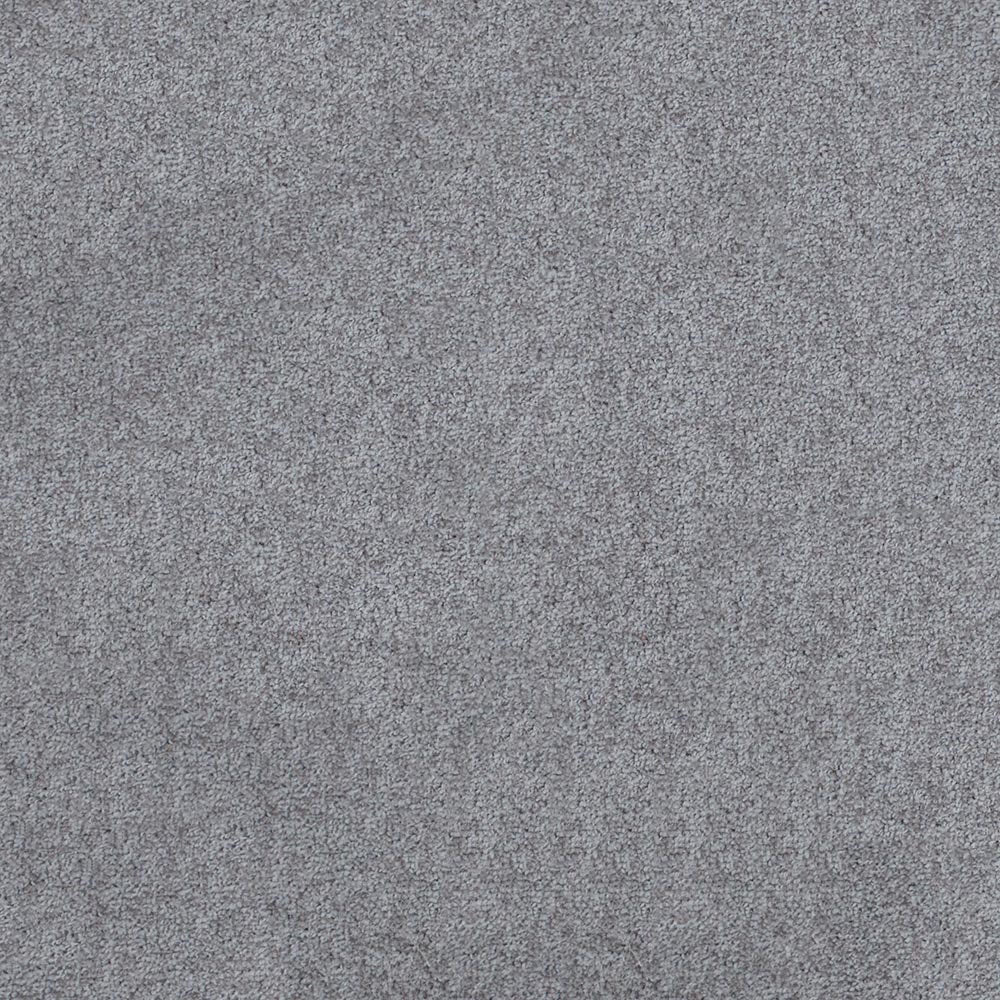 Antique Grey 09 Tuftex Twist Actionback Carpet