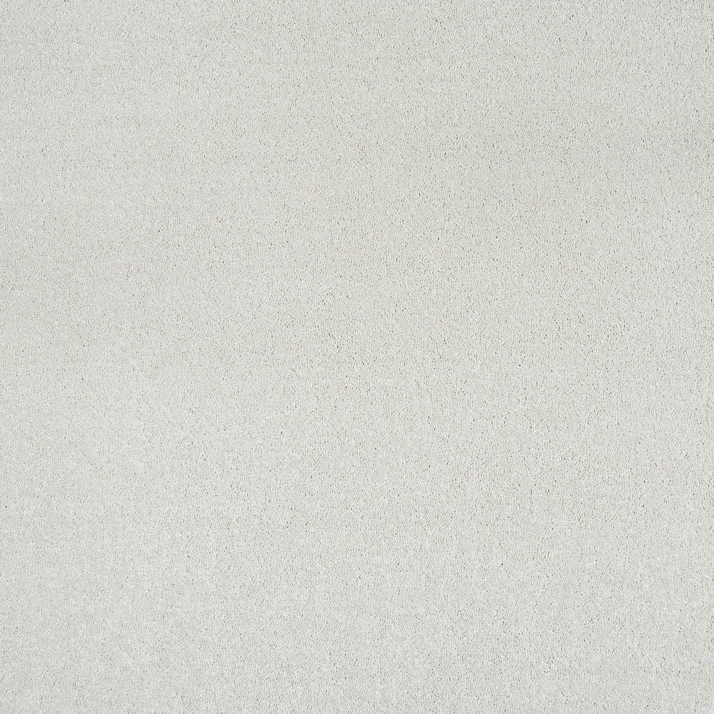 Aries Invictus Carpet - Image 2