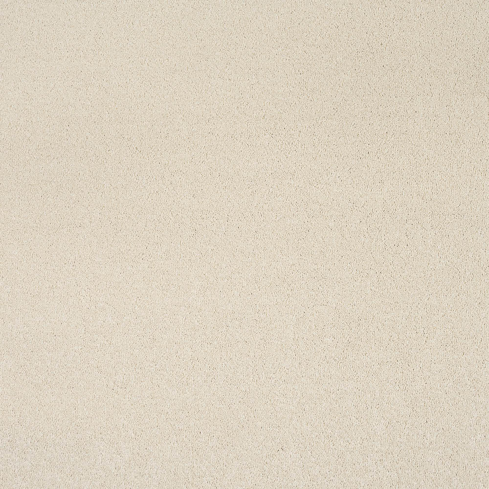 Aries Invictus Carpet - Image 3