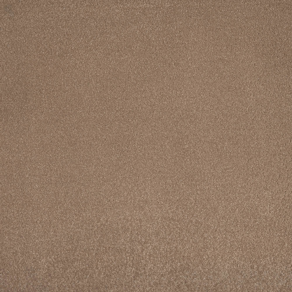 Aries Invictus Carpet - Image 7