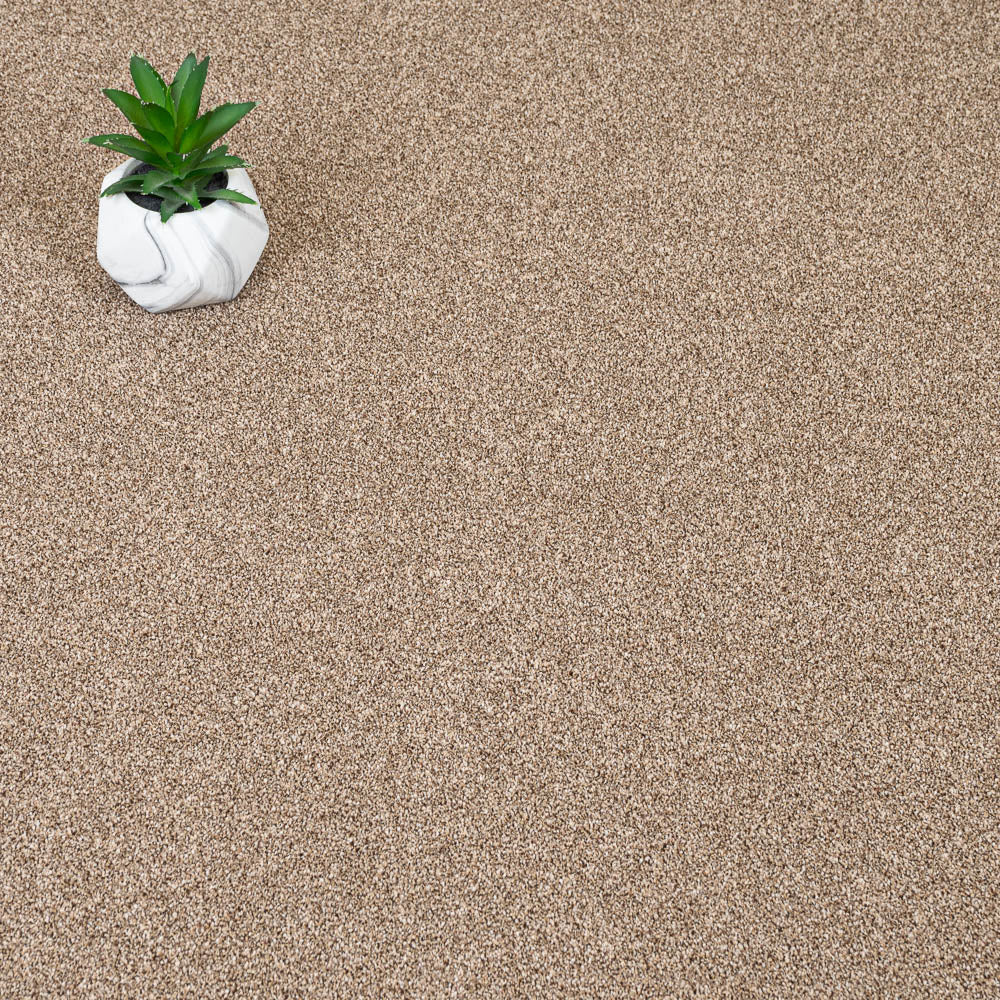 Autumn Trail Trinity Carpet by Cormar