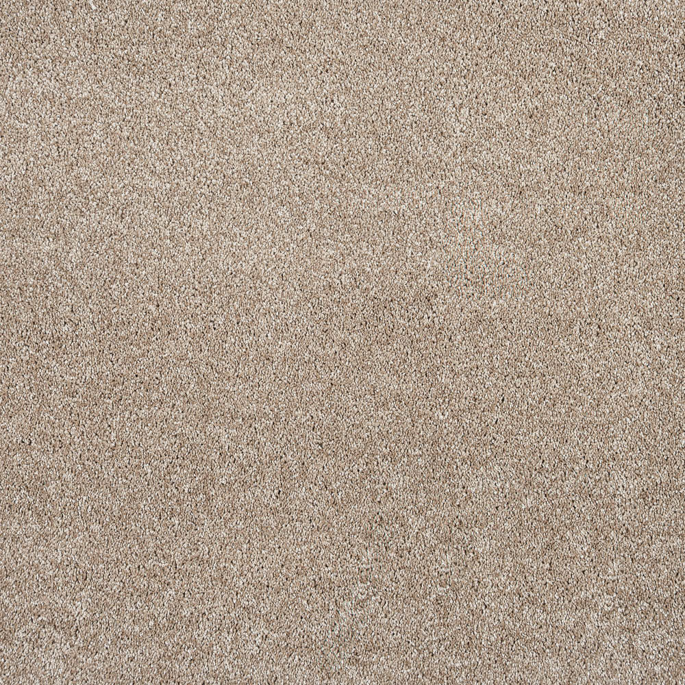 Barbados 35 Dorado 56oz Invictus Gaia Carpet - Image 2