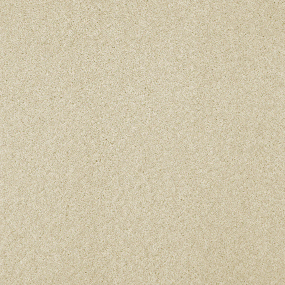 Barello Plains Intenza Carpet - Image 4