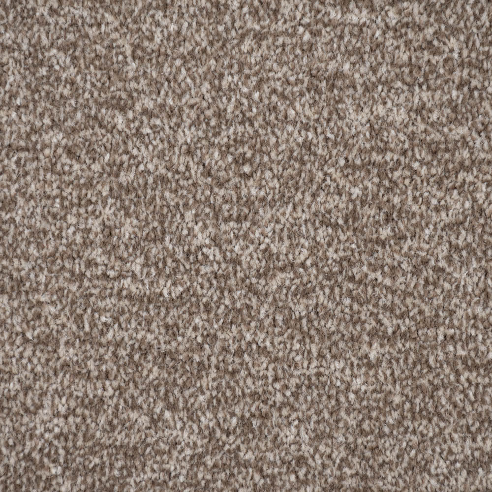 Bark Brown Delphi Twist Carpet - Image 3