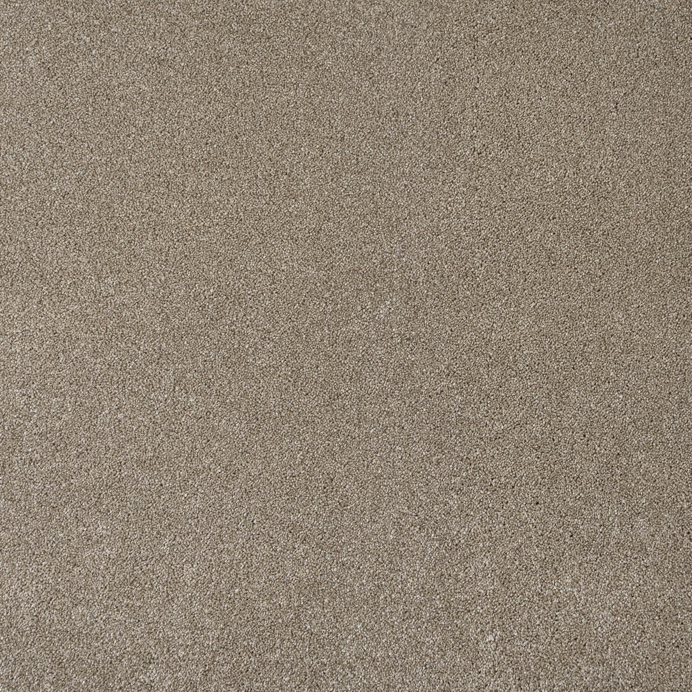 Bark Brown Dunham Saxony Carpet - Image 5