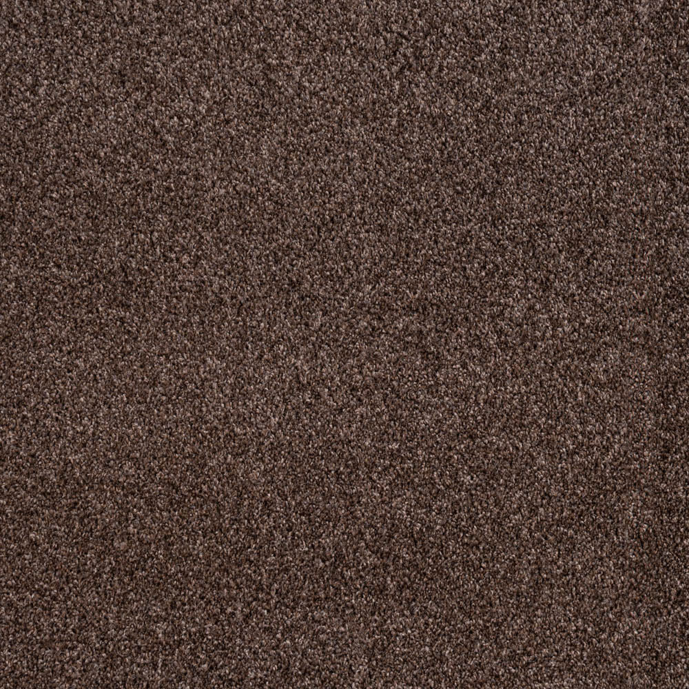 Bark Louisiana Saxony Carpet - Image 5