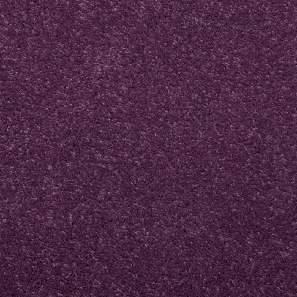 Barn Twist Carpet - Image 3