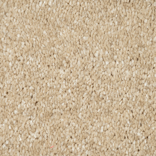 Beach 31 Sophistication Supreme FusionBac Carpet - Image 3