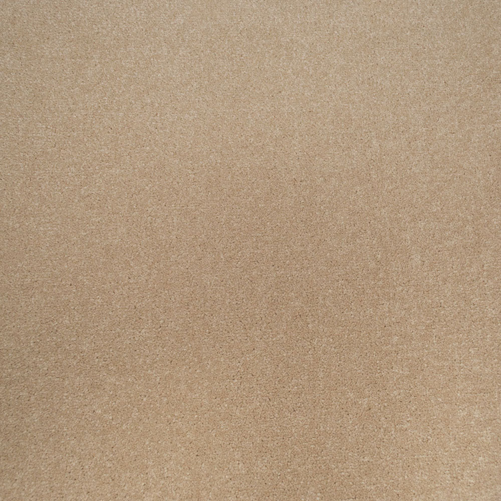 Beach Beige Apollo Plus Carpet by Cormar - Image 5