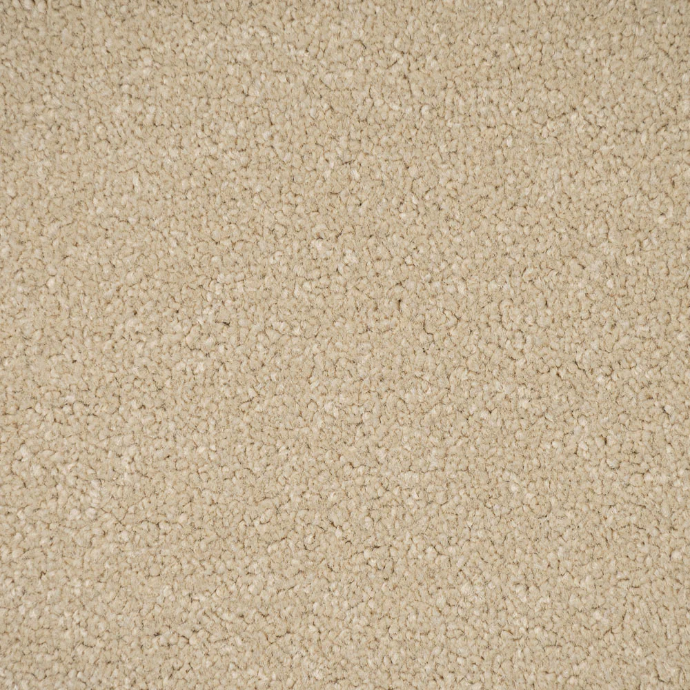 Beachcomber Primo Plus Carpet by Cormar - Image 3