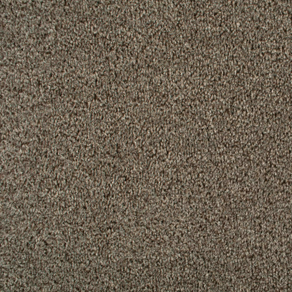 Beaver 965 Dublin Heathers Carpet