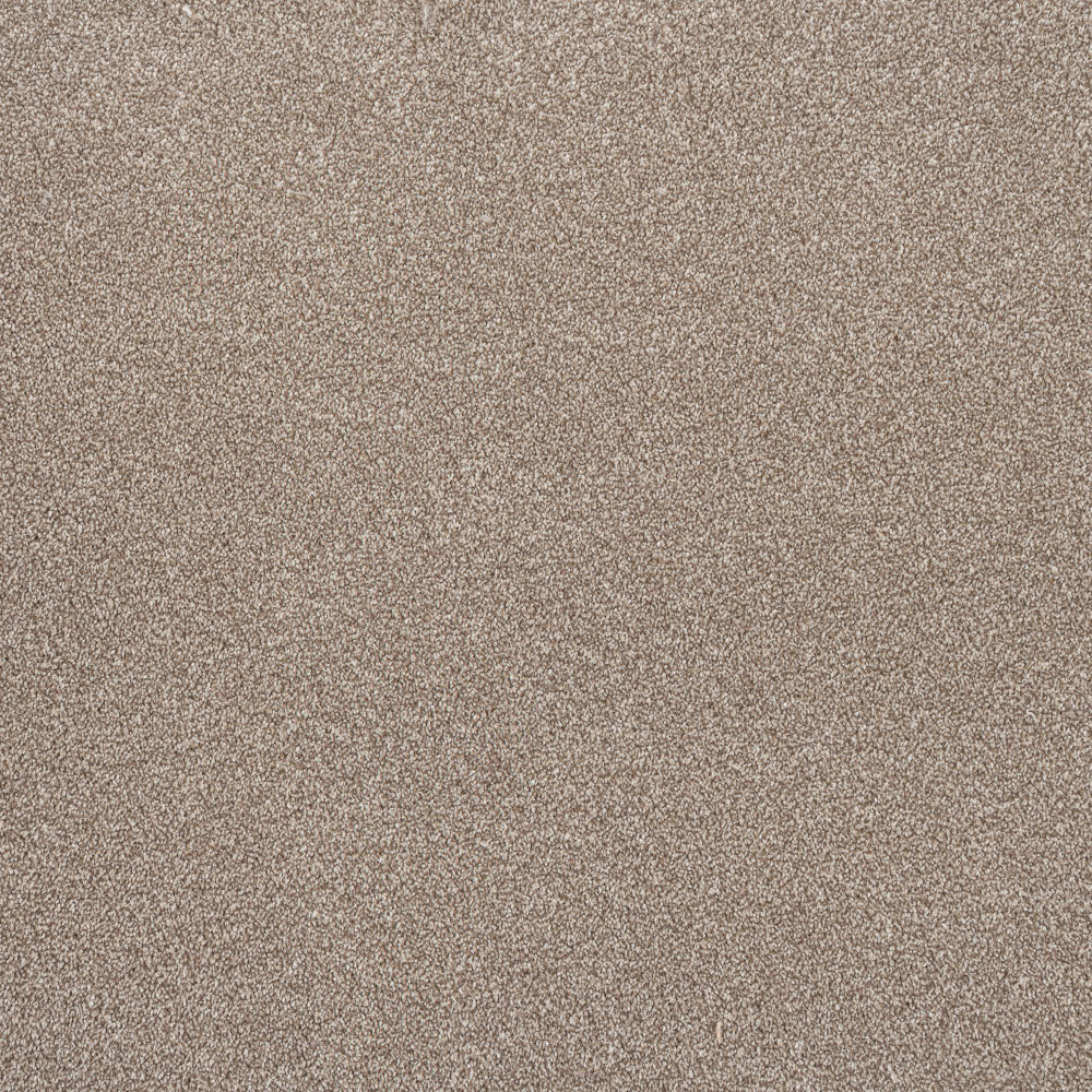 Beaver Primo Ultra Carpet by Cormar - Image 6