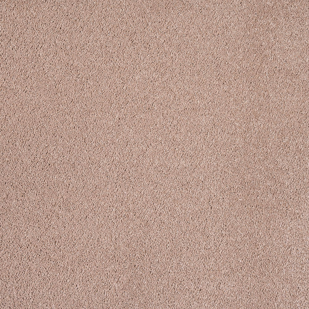 Bedtime 38 Ultimate Andromeda Invictus Carpet Clearance - Image 2