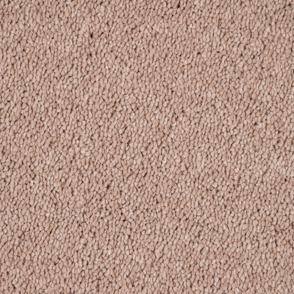 Bedtime 38 Ultimate Andromeda Invictus Carpet Clearance - Image 3