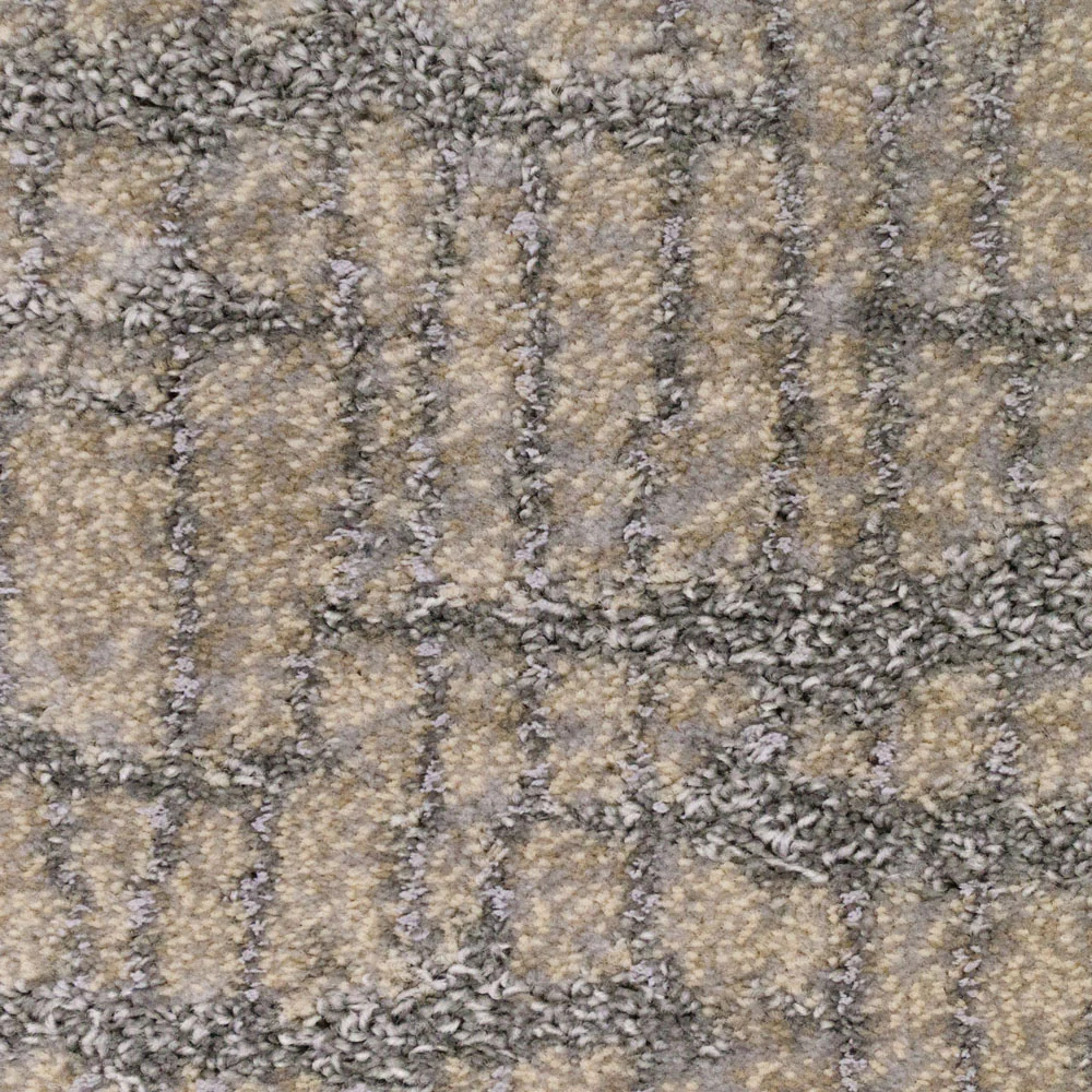 Beige 515 Cracked Colorado Carpet - Image 4