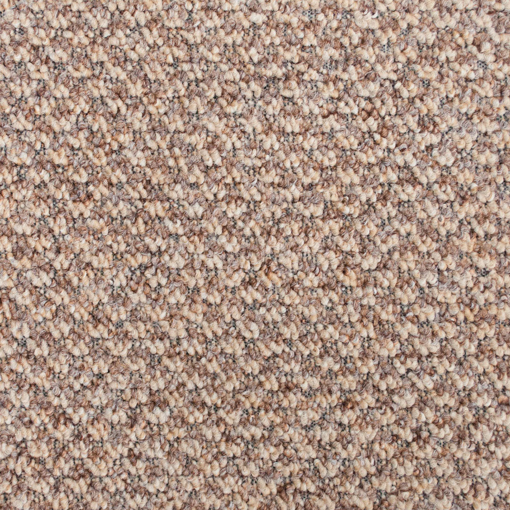 Beige & Brown 860 Aim High Carpet - Image 2